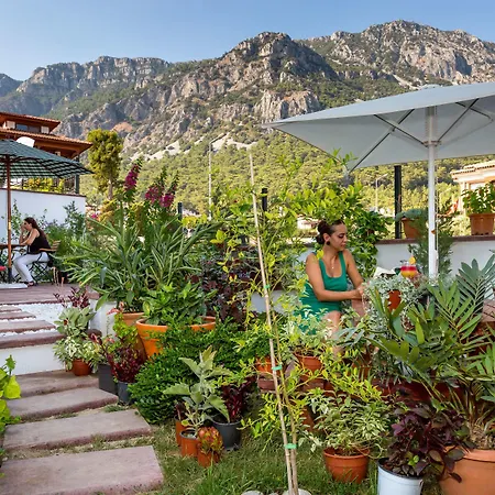 Elif Hanim & Hotel 3*