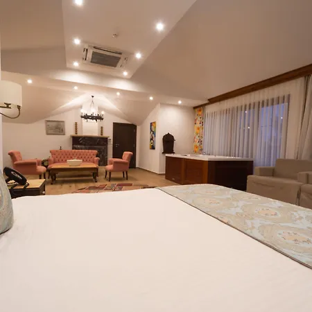 Elif Hanim & Hotel 3*