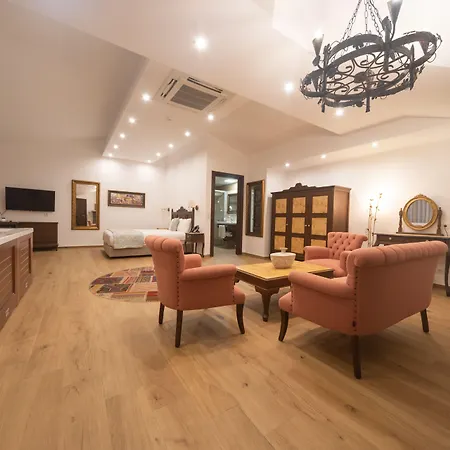 Elif Hanim & Hotel 3*