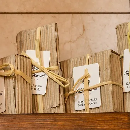 Hotel Elif Hanim & 3*