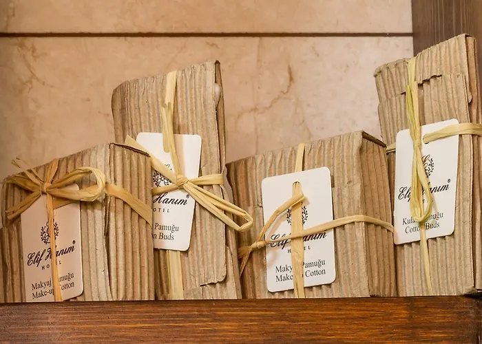 Szálloda Elif Hanim & 3*