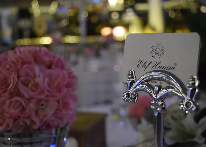 Szálloda Elif Hanim &